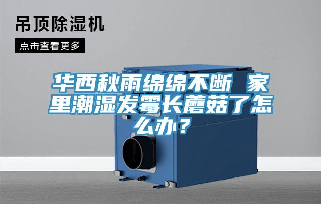 華西秋雨綿綿不斷 家里潮濕發(fā)霉長(zhǎng)蘑菇了怎么辦？
