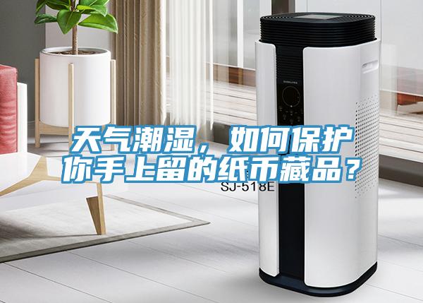 天氣潮濕，如何保護(hù)你手上留的紙幣藏品？