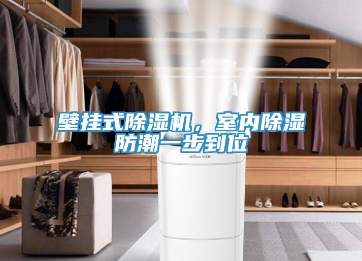 壁掛式除濕機，室內(nèi)除濕防潮一步到位