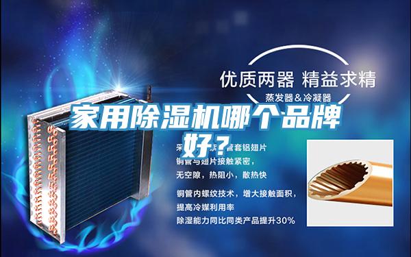 家用除濕機哪個品牌好？