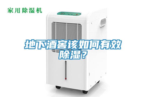 地下酒窖該如何有效除濕？