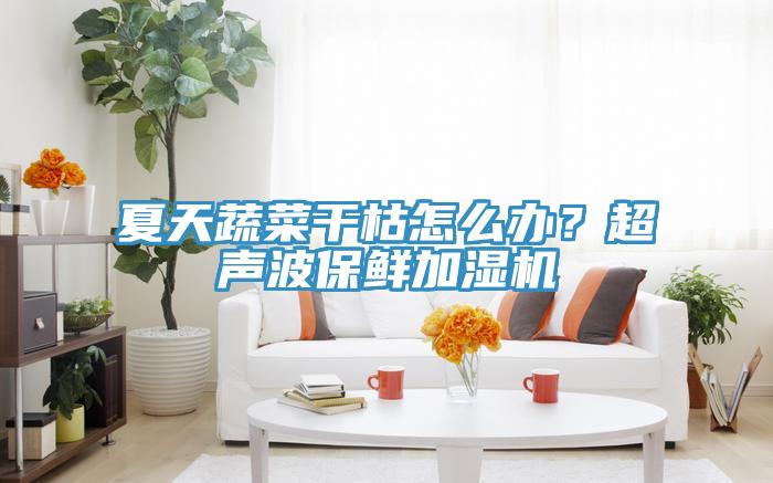夏天蔬菜干枯怎么辦？超聲波保鮮加濕機(jī)