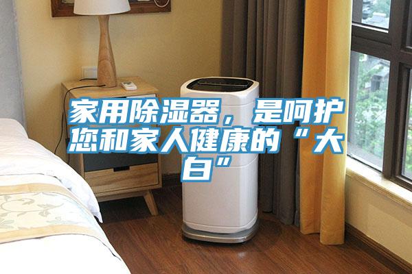 家用除濕器，是呵護(hù)您和家人健康的“大白”