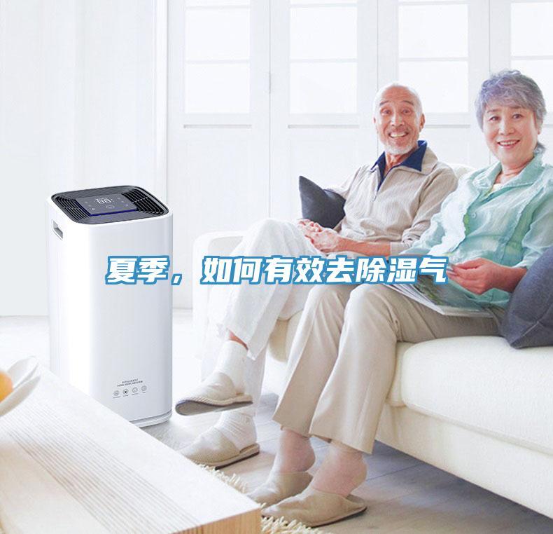 夏季，如何有效去除濕氣