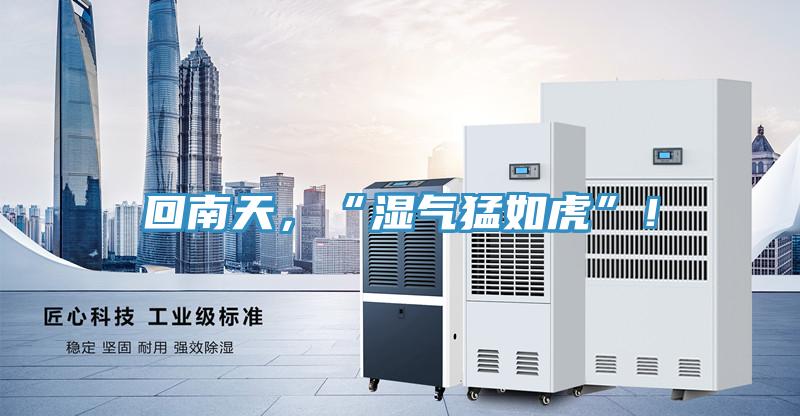 回南天，“濕氣猛如虎”！