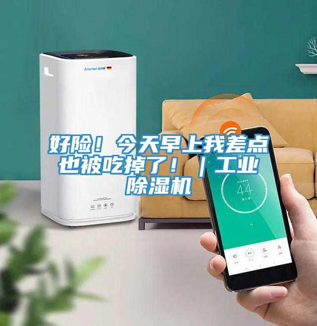 好險！今天早上我差點也被吃掉了?。I(yè)除濕機