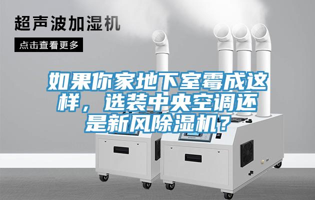 如果你家地下室霉成這樣，選裝中央空調(diào)還是新風除濕機？