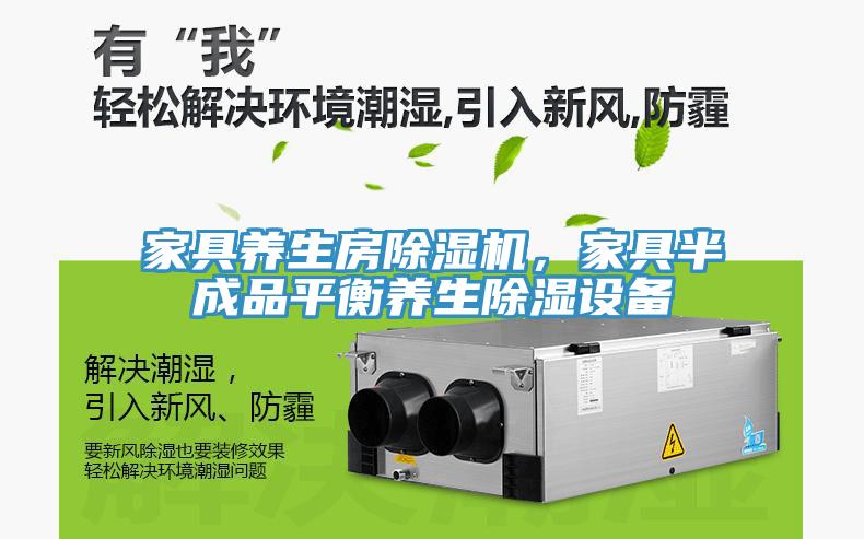 家具養(yǎng)生房除濕機，家具半成品平衡養(yǎng)生除濕設備