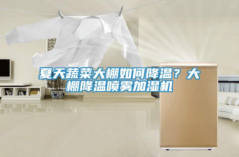 夏天蔬菜大棚如何降溫？大棚降溫噴霧加濕機(jī)