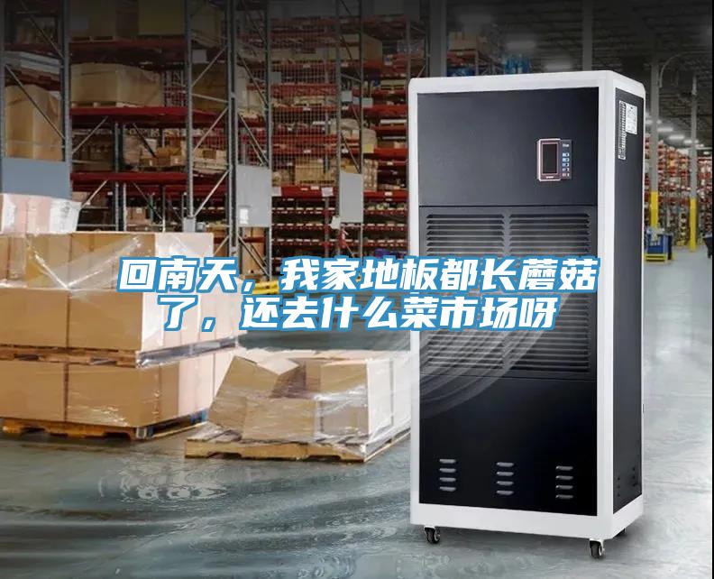 回南天，我家地板都長(zhǎng)蘑菇了，還去什么菜市場(chǎng)呀