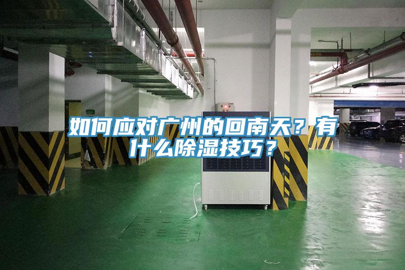 如何應(yīng)對廣州的回南天？有什么除濕技巧？