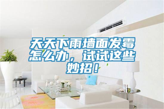 天天下雨墻面發(fā)霉怎么辦，試試這些妙招！