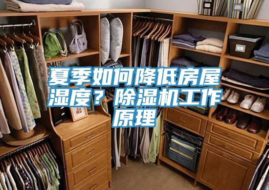 夏季如何降低房屋濕度？除濕機(jī)工作原理