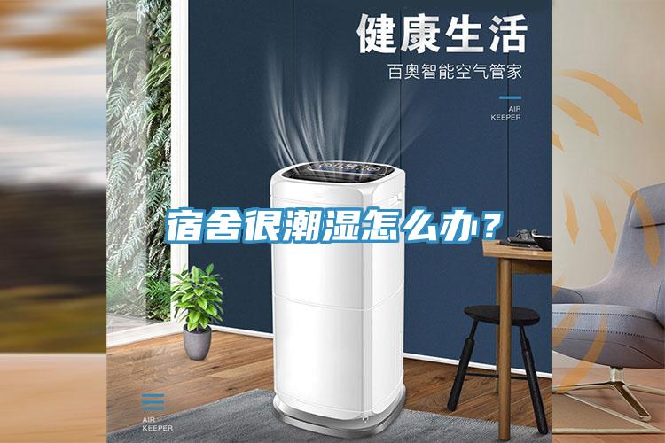 宿舍很潮濕怎么辦？