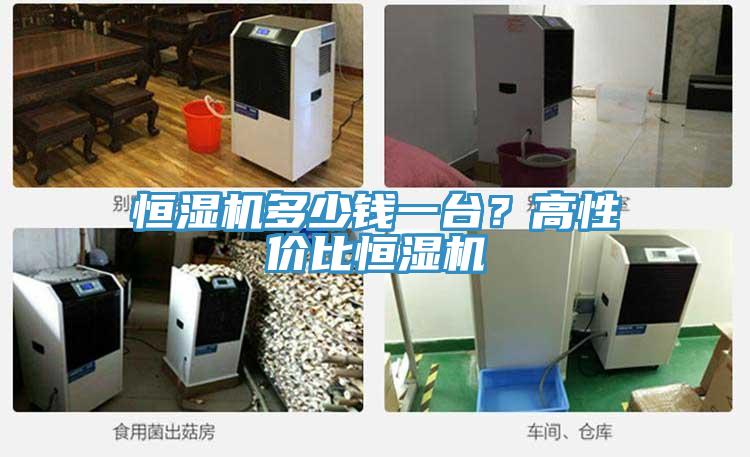 恒濕機(jī)多少錢一臺？高性價比恒濕機(jī)