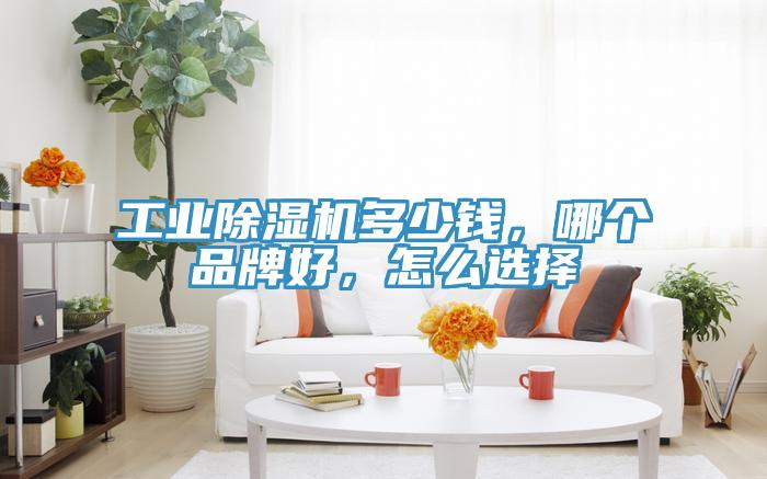 工業(yè)除濕機(jī)多少錢(qián)，哪個(gè)品牌好，怎么選擇
