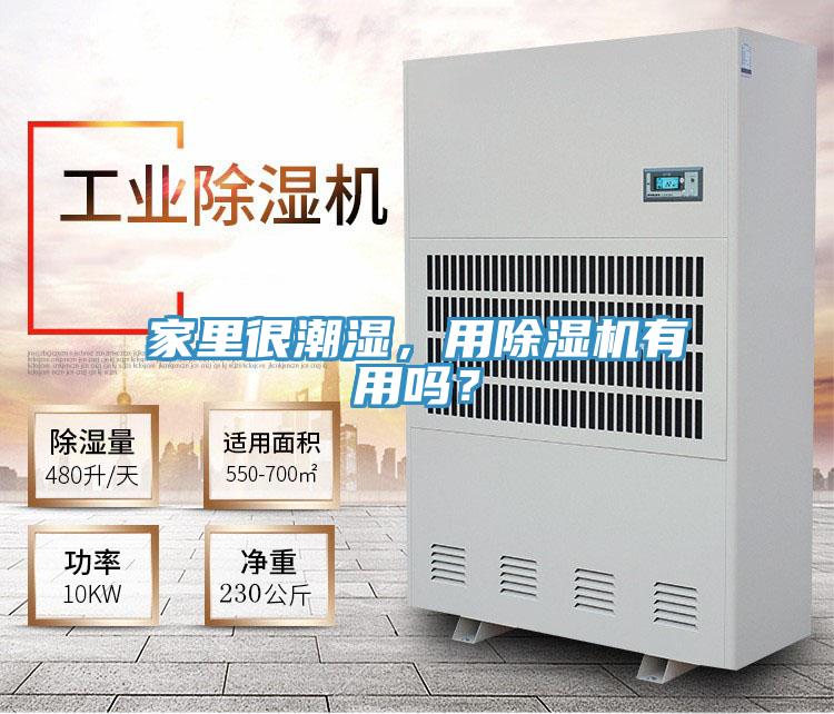 家里很潮濕，用除濕機(jī)有用嗎？