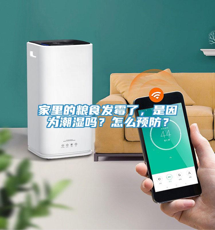 家里的糧食發(fā)霉了，是因為潮濕嗎？怎么預防？