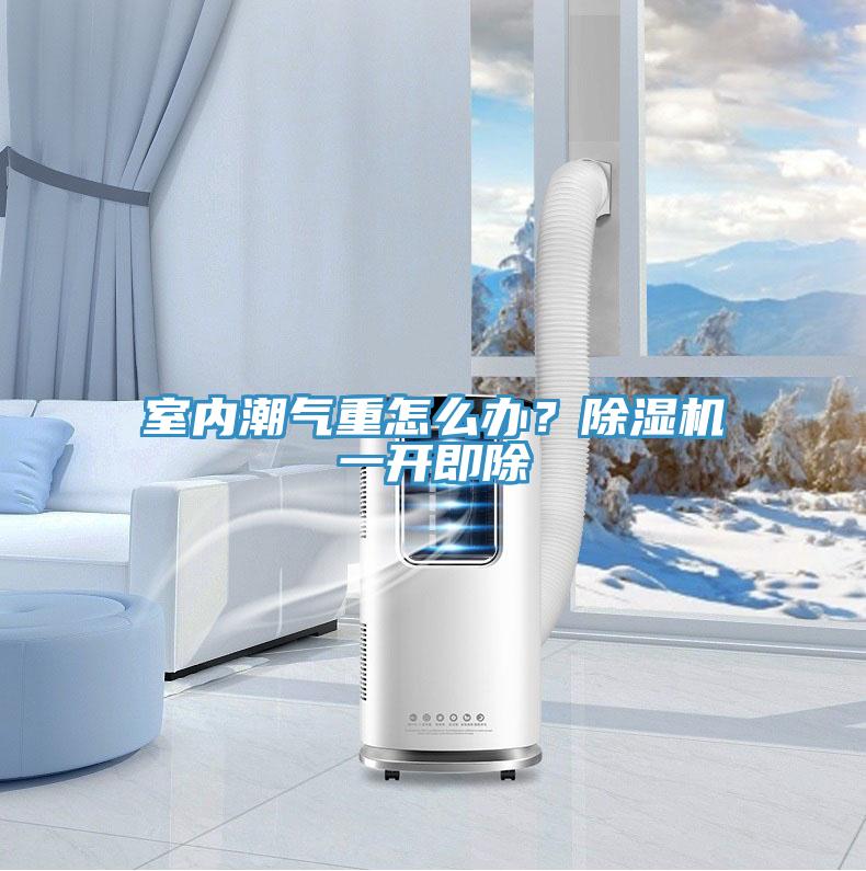 室內(nèi)潮氣重怎么辦？除濕機(jī)一開(kāi)即除