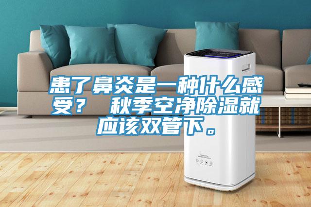 患了鼻炎是一種什么感受？ 秋季空凈除濕就應(yīng)該雙管下。