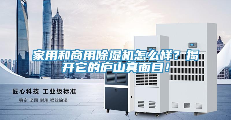 家用和商用除濕機(jī)怎么樣？揭開它的廬山真面目！