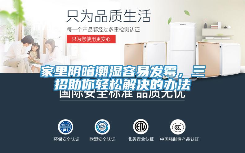 家里陰暗潮濕容易發(fā)霉，三招助你輕松解決的辦法