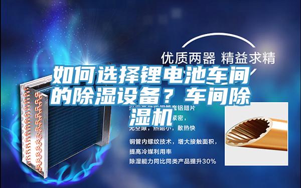如何選擇鋰電池車間的除濕設(shè)備？車間除濕機(jī)