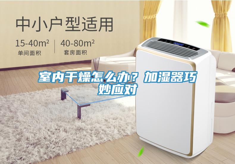 室內(nèi)干燥怎么辦？加濕器巧妙應(yīng)對(duì)