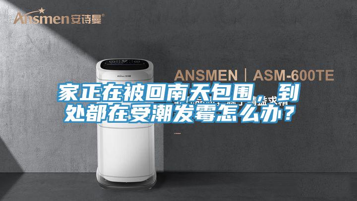 家正在被回南天包圍，到處都在受潮發(fā)霉怎么辦？