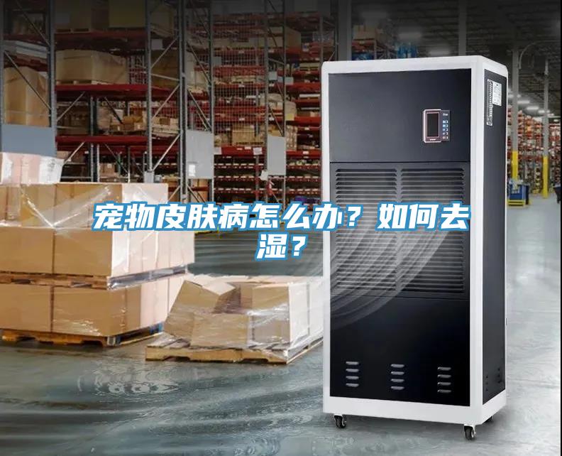 寵物皮膚病怎么辦？如何去濕？