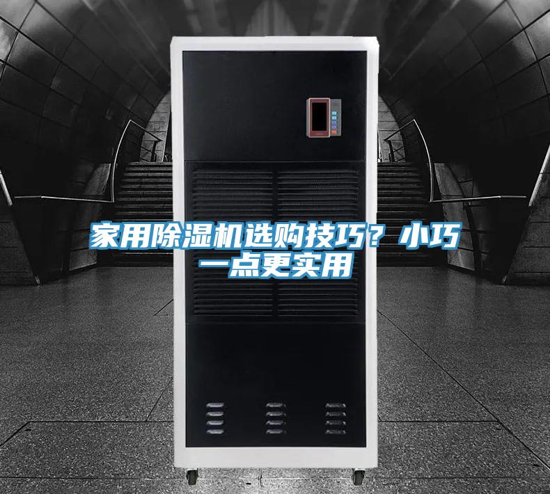 家用除濕機(jī)選購技巧？小巧一點(diǎn)更實(shí)用