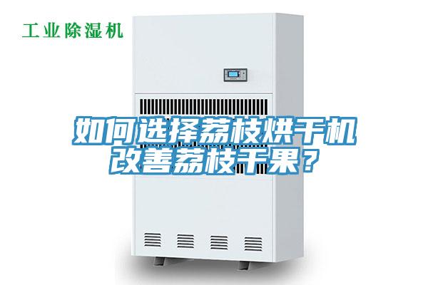 如何選擇荔枝烘干機(jī)改善荔枝干果？
