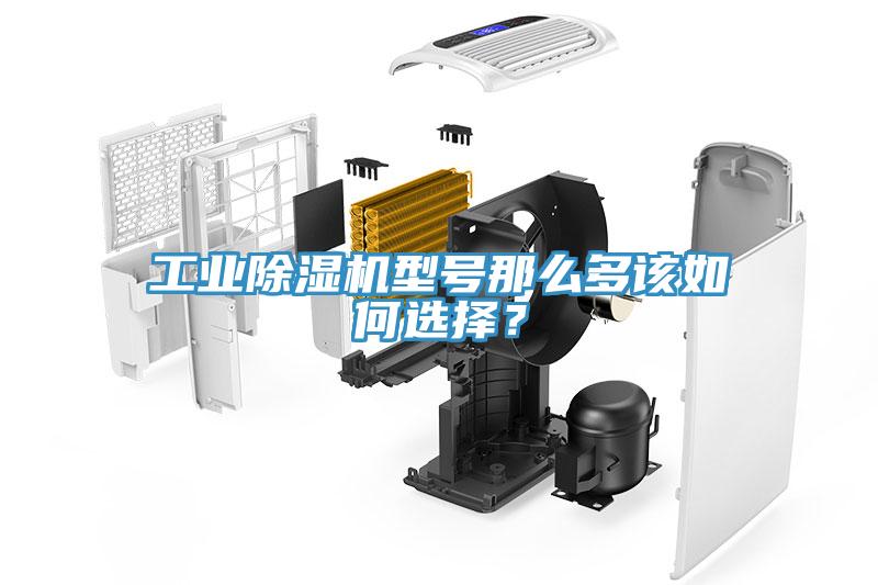 工業(yè)除濕機(jī)型號那么多該如何選擇？