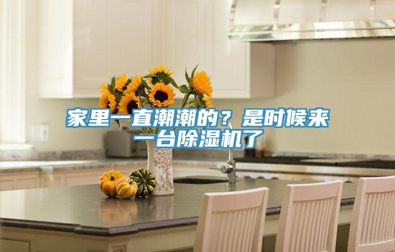 家里一直潮潮的？是時(shí)候來(lái)一臺(tái)除濕機(jī)了
