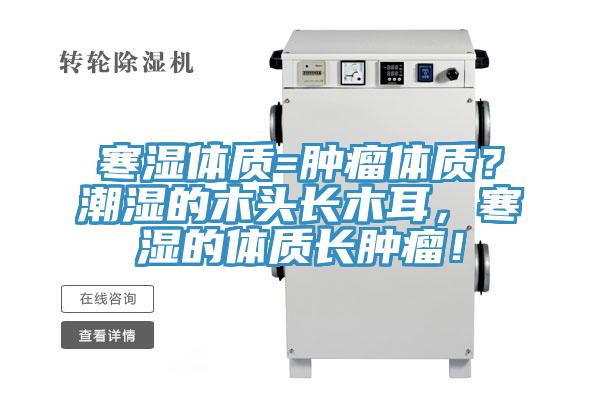 寒濕體質(zhì)=腫瘤體質(zhì)？潮濕的木頭長木耳，寒濕的體質(zhì)長腫瘤！