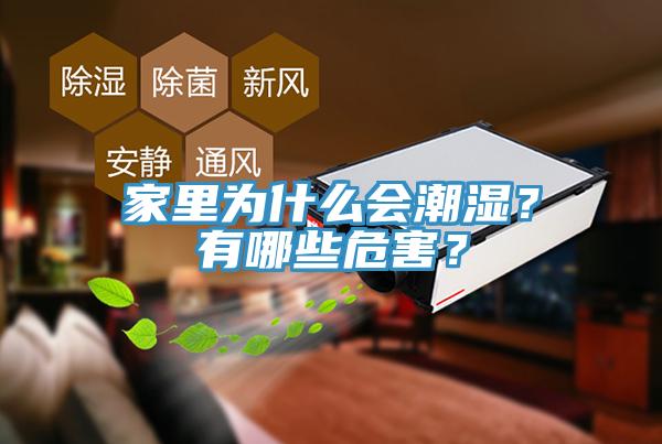 家里為什么會(huì)潮濕？有哪些危害？