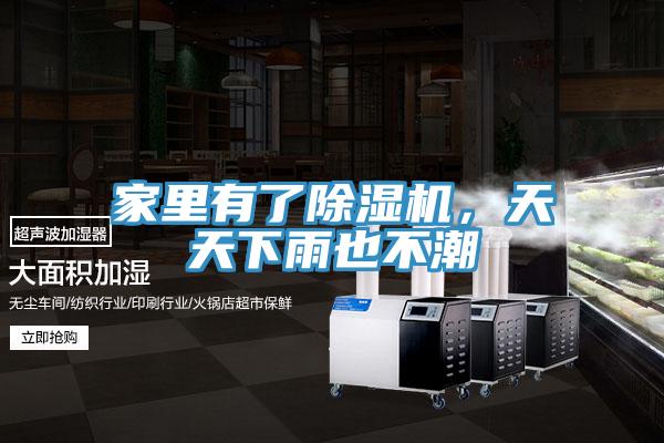 家里有了除濕機(jī)，天天下雨也不潮