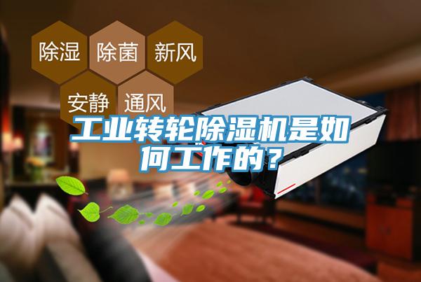 工業(yè)轉(zhuǎn)輪除濕機(jī)是如何工作的？