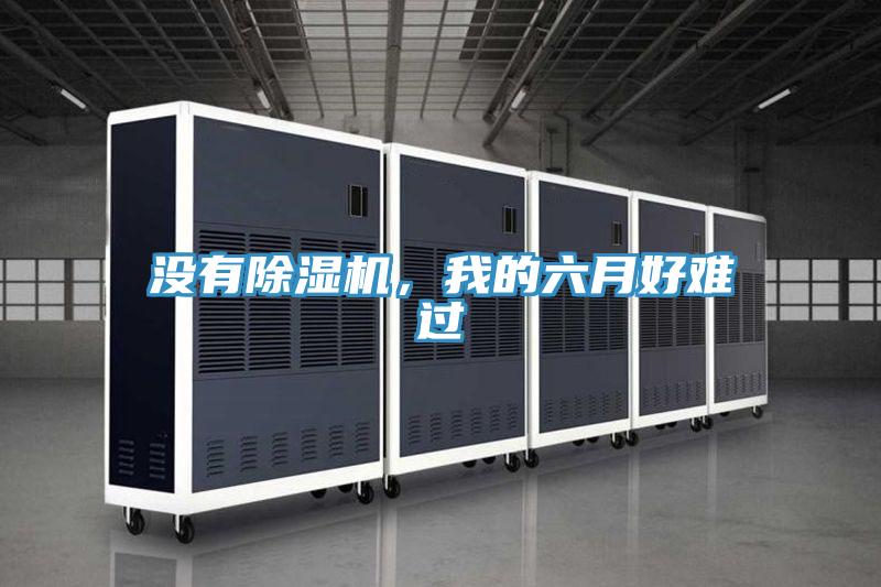 沒有除濕機(jī)，我的六月好難過