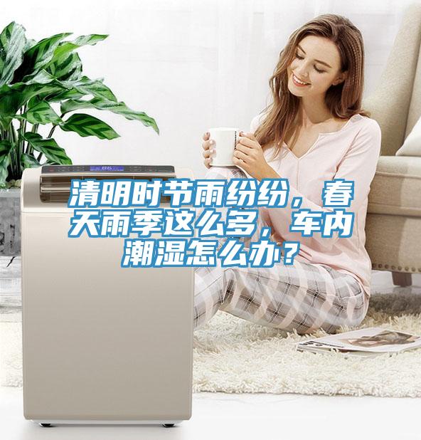 清明時節(jié)雨紛紛，春天雨季這么多，車內潮濕怎么辦？