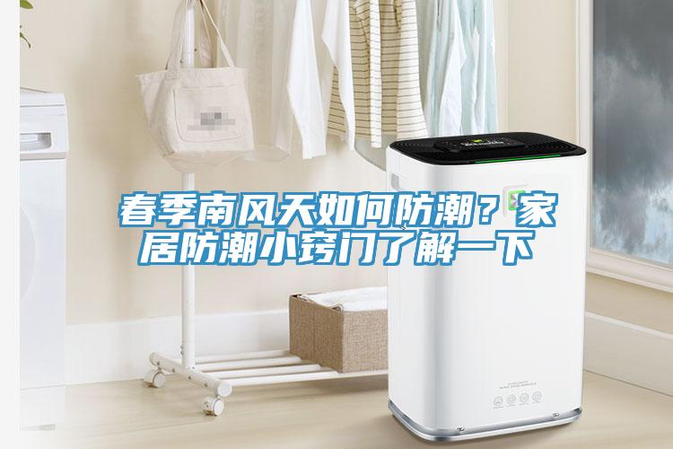春季南風(fēng)天如何防潮？家居防潮小竅門了解一下