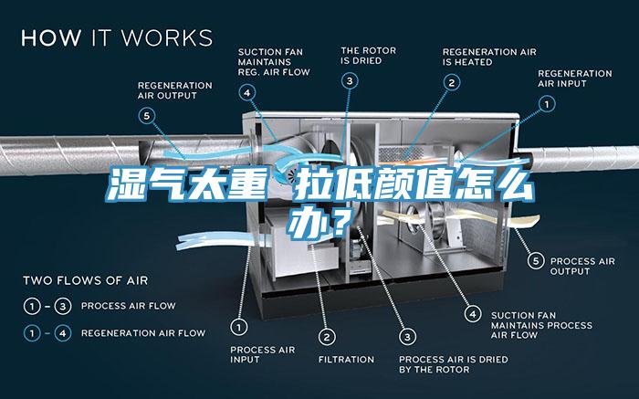 濕氣太重 拉低顏值怎么辦？