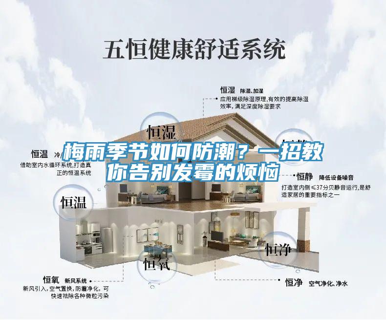梅雨季節(jié)如何防潮？一招教你告別發(fā)霉的煩惱