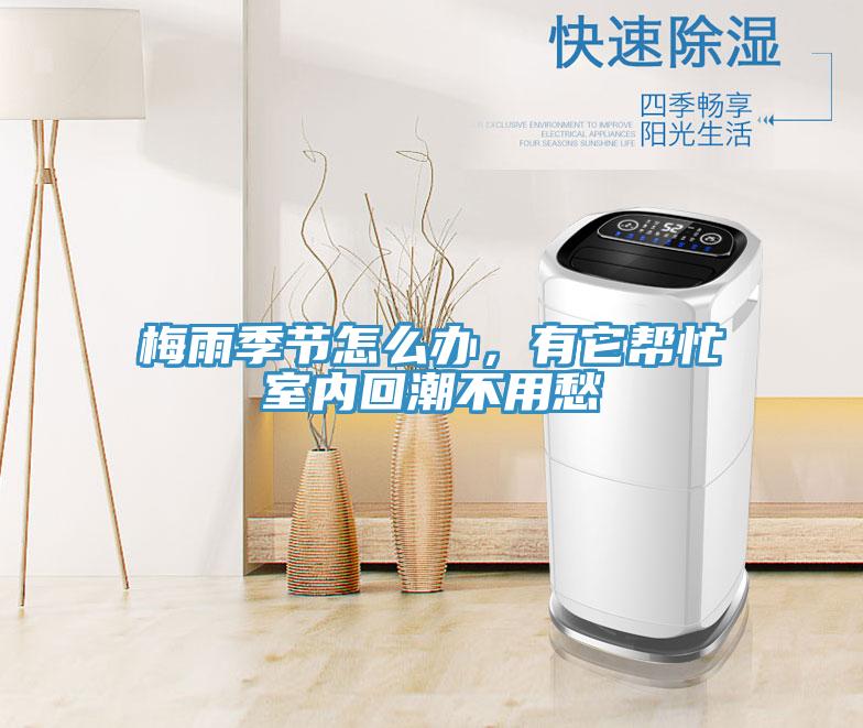 梅雨季節(jié)怎么辦，有它幫忙室內(nèi)回潮不用愁