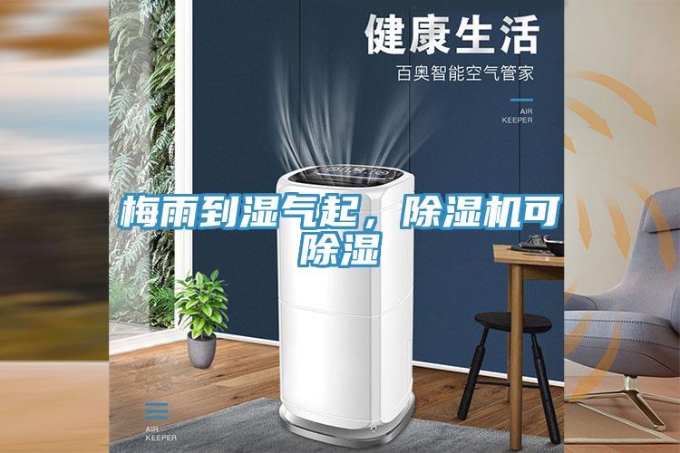 梅雨到濕氣起，除濕機(jī)可除濕