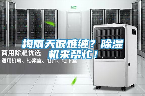 梅雨天很難纏？除濕機(jī)來幫忙！