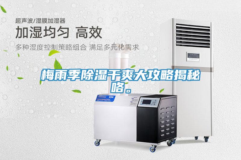 梅雨季除濕干爽大攻略揭秘咯。