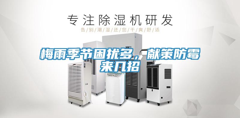 梅雨季節(jié)困擾多，獻(xiàn)策防霉來幾招