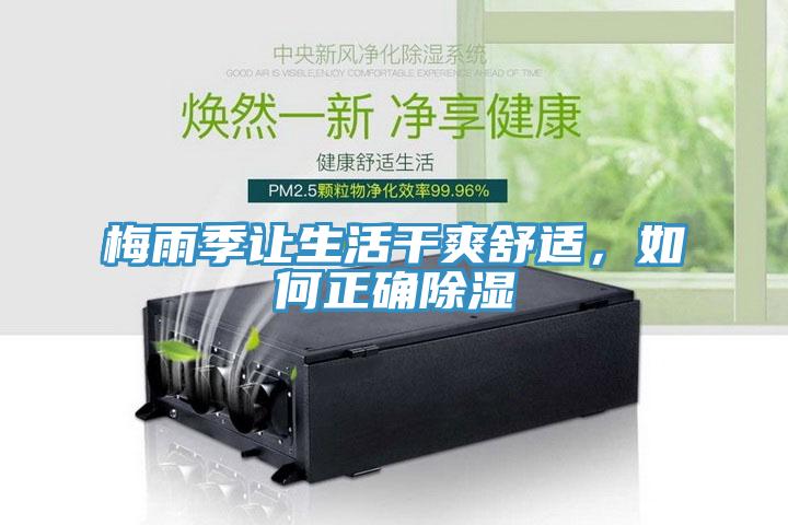 梅雨季讓生活干爽舒適，如何正確除濕