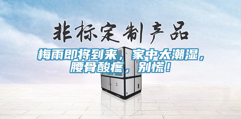 梅雨即將到來(lái)，家中太潮濕，腰骨酸疼，別慌！